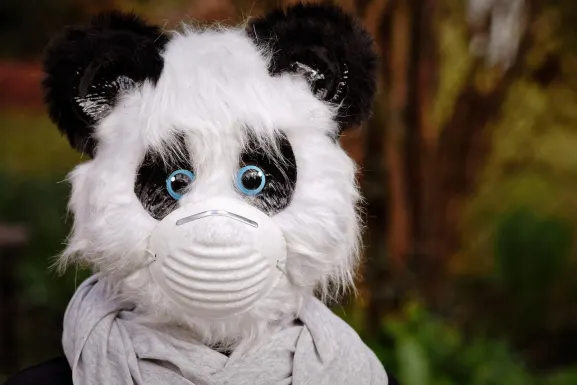 Kaszinó Hot Line Támogatás